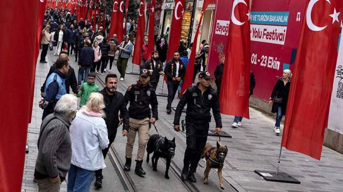 Число задержанных по делу о теракте в Стамбуле увеличилось до 50
