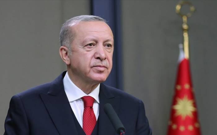 Эрдоган: Сотрудничество между тюркскими государствами черпает силу из исторических уз братства
