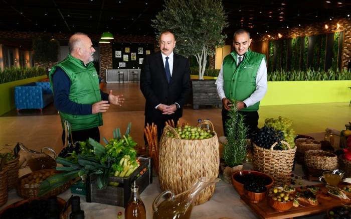 Президент принял участие в открытии завода по переработке оливкового масла в поселке Зиря -ОБНОВЛЕНО
