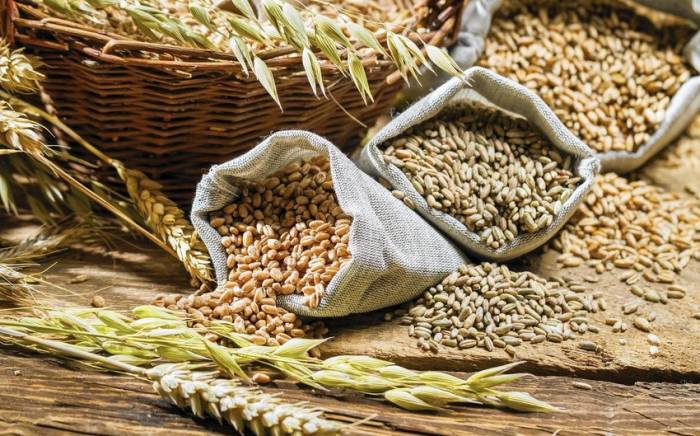 Турция и Россия определяют список стран для экспорта зерна и удобрений
