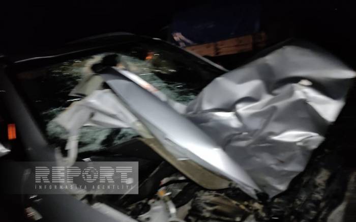 В Огузе автомобиль сбил перебегавшую дорогу лошадь, есть пострадавший

