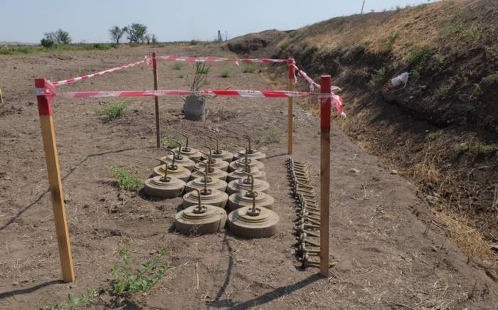 На освобожденных территориях Азербайджана обнаружено еще 94 мины  
