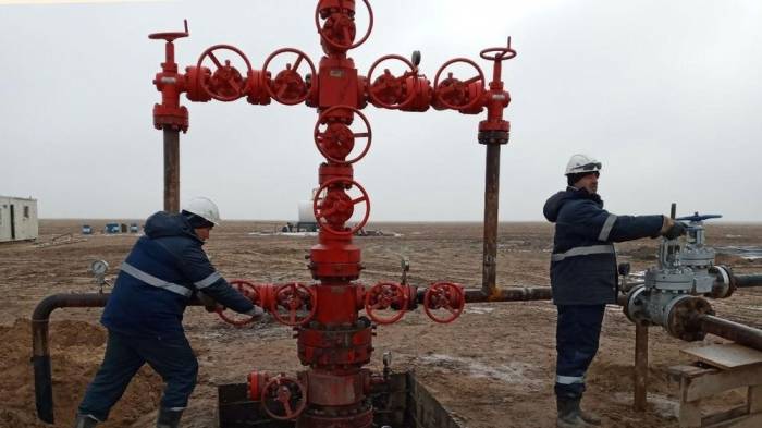 Стало известно, на сколько лет Узбекистану хватит нефти и газа
