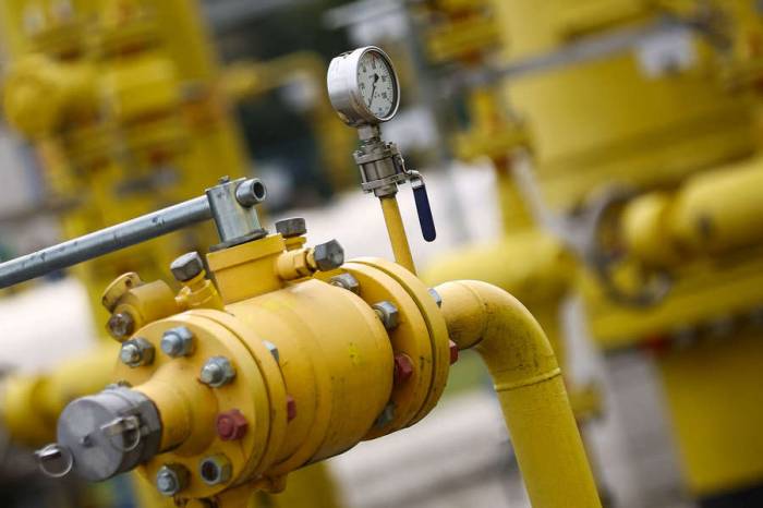 Эрдоган призвал начать работы по поставкам природного газа из Туркмении на западные рынки
