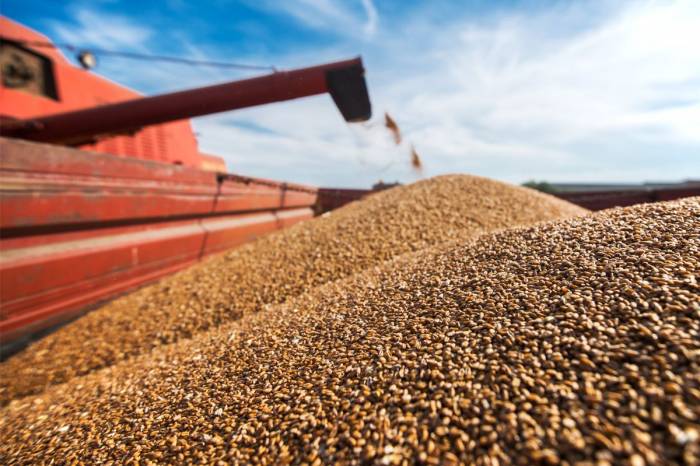 Минсельхоз США снизил оценку мирового сбора пшеницы
