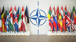 В Турции указали на притязания НАТО на Кавказ
