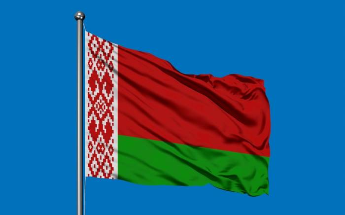 Беларусь прекратит сотрудничать с Францией в сфере культуры, образования и науки
