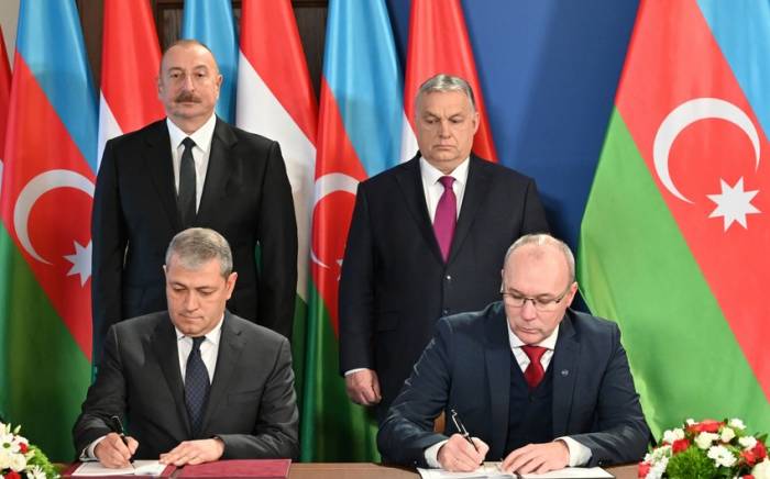 ТЮРКСОЙ: Дружественные связи между Шушой и Веспремом расширят культурные связи тюркского мира с Европой
