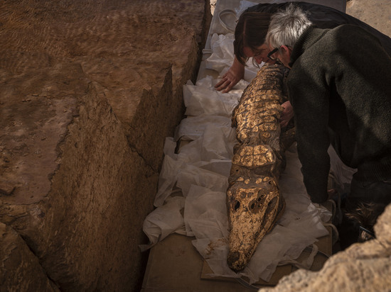 На юге Египта нашли гробницу с мумиями крокодилов
