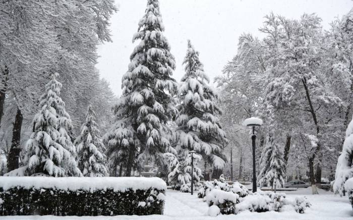 В Исмаиллы высота снежного покрова достигла 30 см
