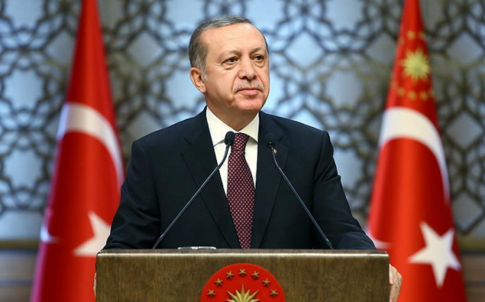 Эрдоган: Поставками зерна из РФ Турция решит проблему обеспечения им бедных стран Африки
