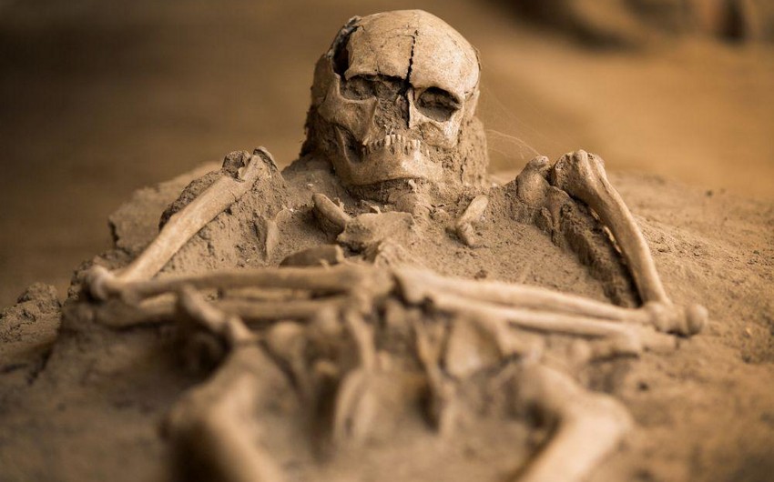 В Габалинском районе обнаружен скелет мужчины