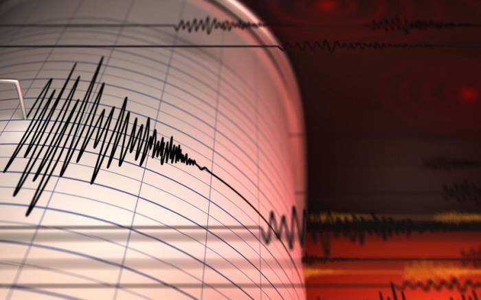 В Турции произошло землетрясение магнитудой 4,6
