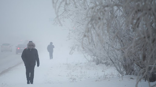 В «Узгидромете» рассказали, сколько продлится аномальный холод в Узбекистане
