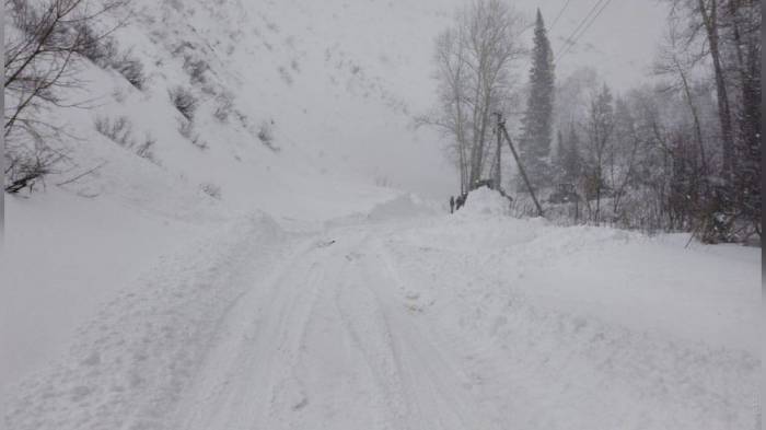 В Казахстане из-за бурана закрыли 122 участка автодорог
