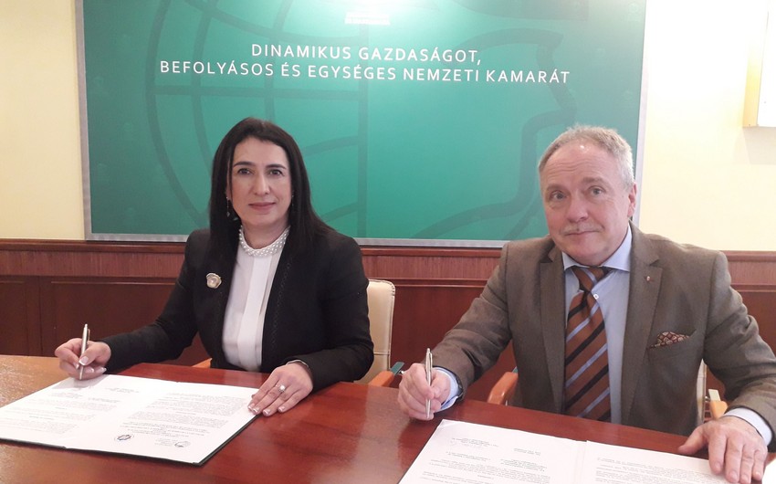Азербайджан и Венгрия создают совместный деловой совет