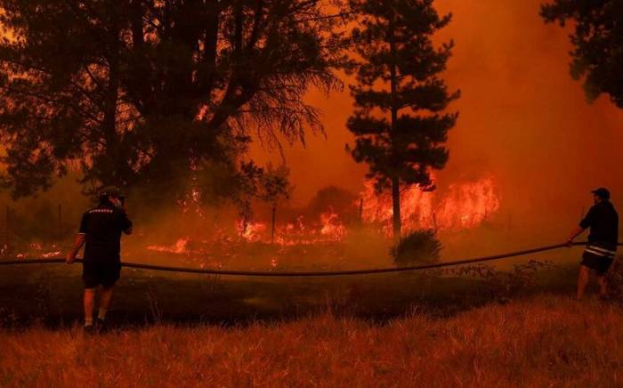 Не менее 23 человек погибли в Чили из-за лесных пожаров

