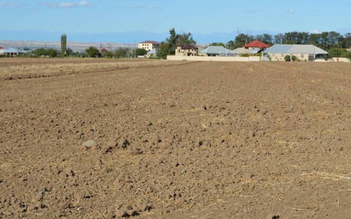 Муниципалитетам возвращено 13 089 га незаконно проданных земель
