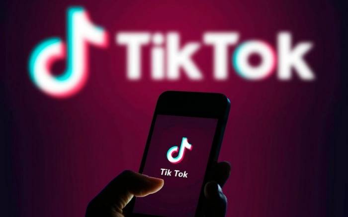 Еврокомиссия попросила сотрудников удалить TikTok с корпоративных телефонов
