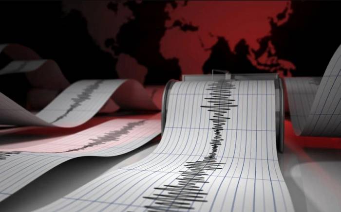 На севере Ирана произошло сильное землетрясение
