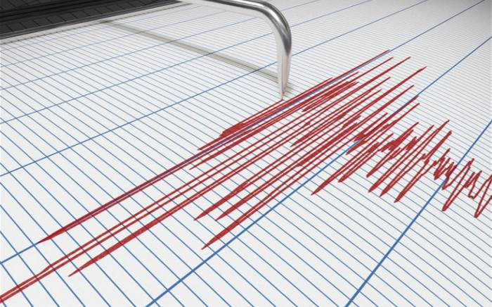 В Турции произошло землетрясение магнитудой 4,8
