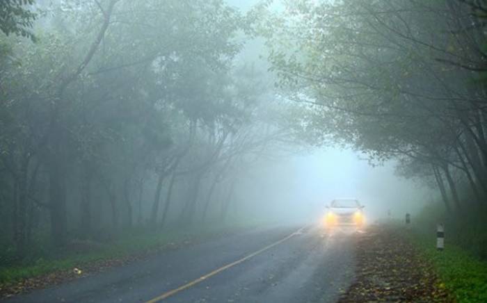 Из-за густого тумана видимость на некоторых автомагистралях будет ограничена
