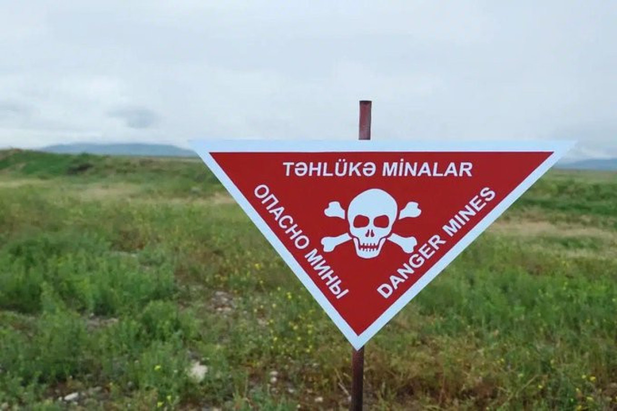 МИД Азербайджана: Армения должна предоставить точные минные карты
