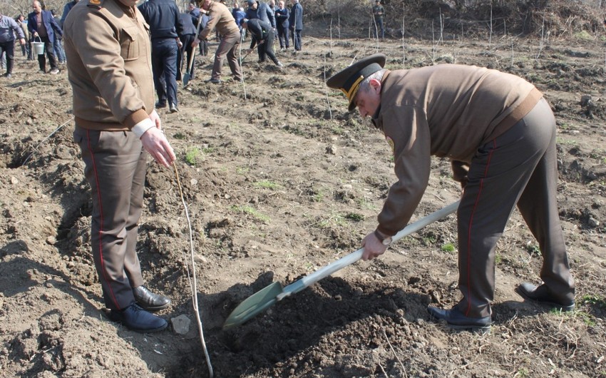 МЧС провел акцию по посадке деревьев в рамках "Года Гейдара Алиева"
