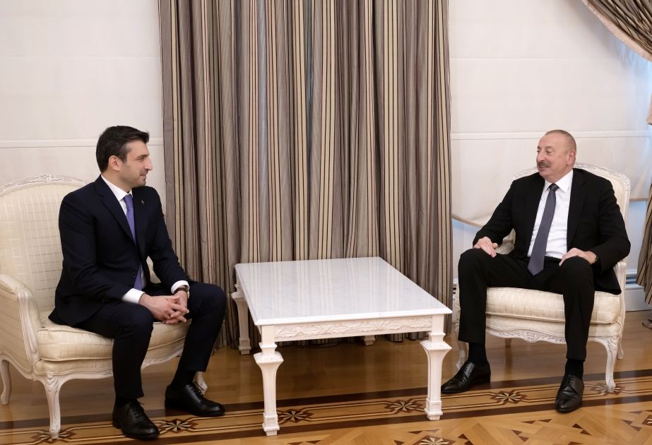 Ильхам Алиев принял Сельджука Байрактара