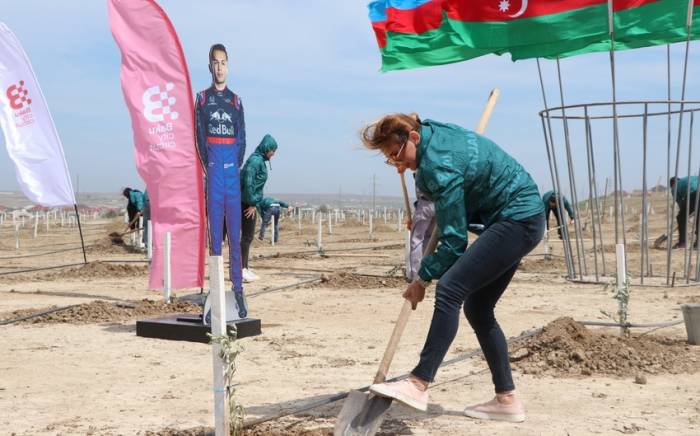 По случаю 100-летнего юбилея Гейдара Алиева проведена очередная акция по посадке деревьев
