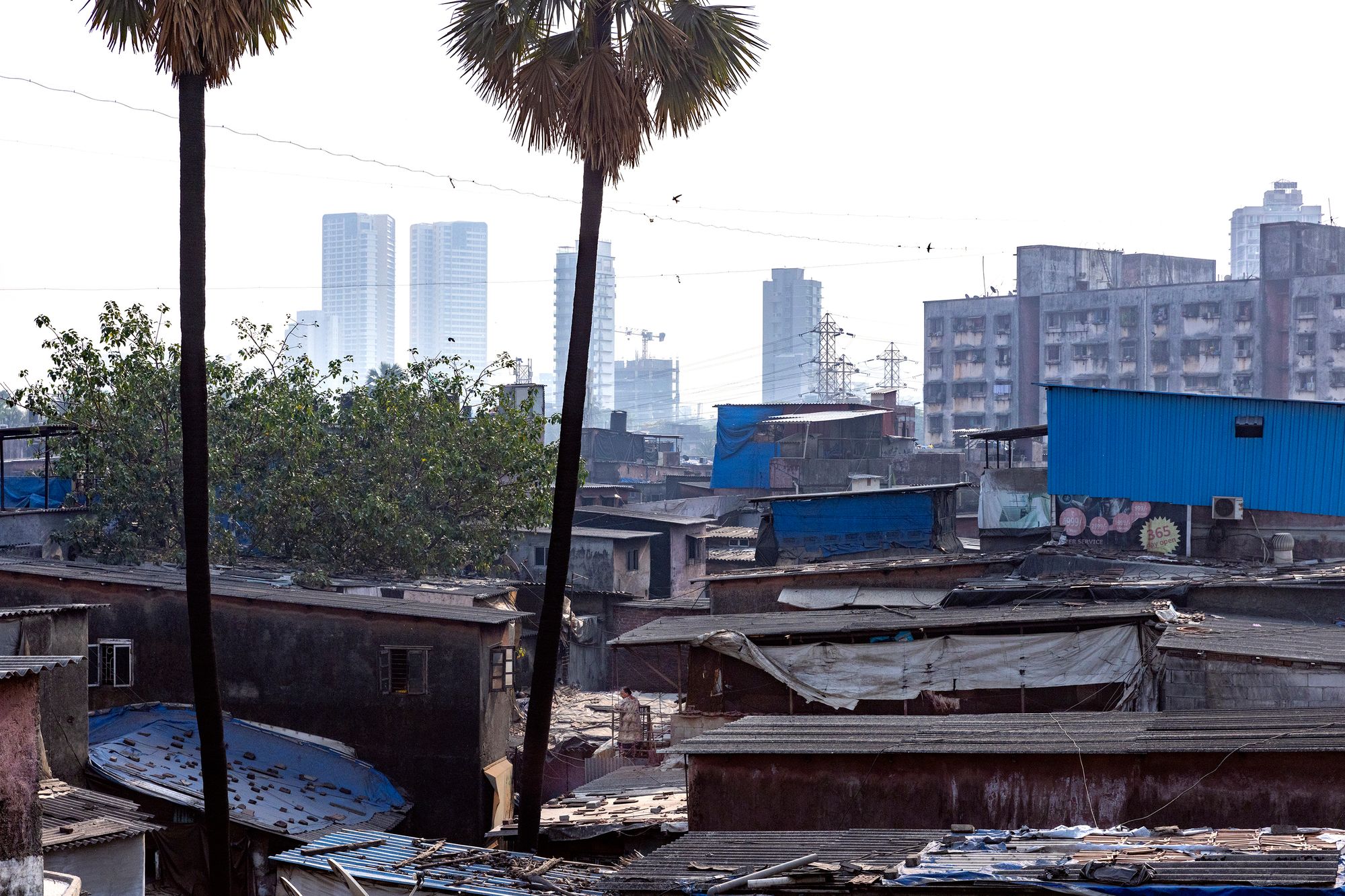 Индийский миллиардер перестроит район из «Миллионера из трущоб»
