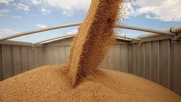 Польша приостановила импорт зерна с Украины
