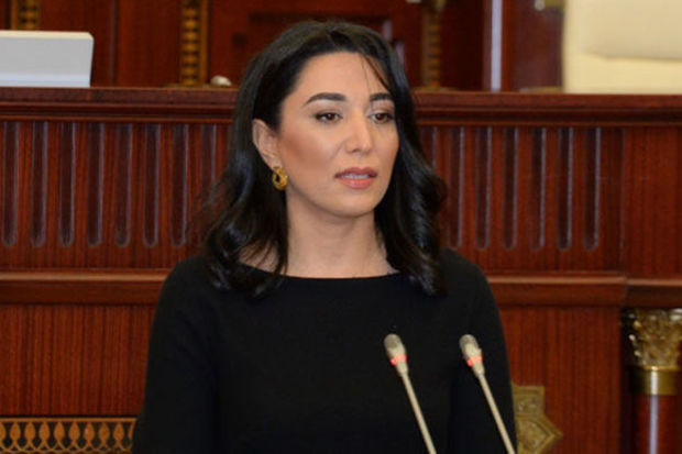 Омбудсмен Азербайджана распространила заявление в связи с пропагандой в Армении политики этнической ненависти
