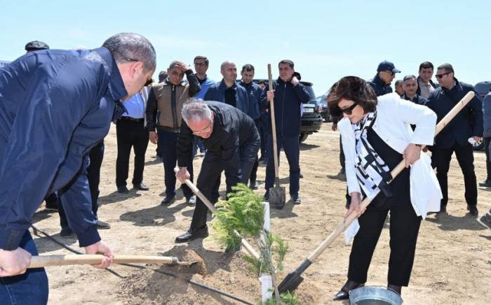 В связи со 100-летием общенационального лидера Гейдара Алиева прошла акция по посадке деревьев -ФОТО
