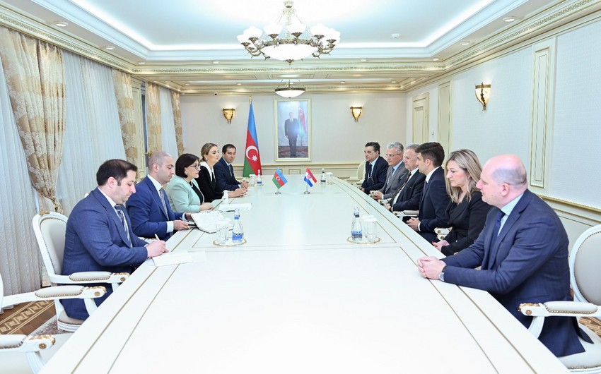 Зампредседателя парламента: Хорватия заинтересована в развитии сотрудничества с Азербайджаном
