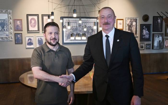 Зеленский выразил признательность за гуманитарную помощь Азербайджана Украине
