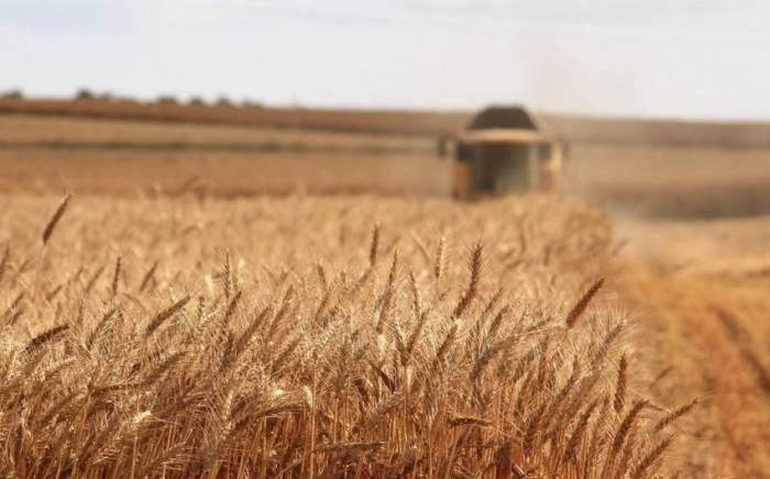 Лавров: Россия не видит причин для продления зернового соглашения
