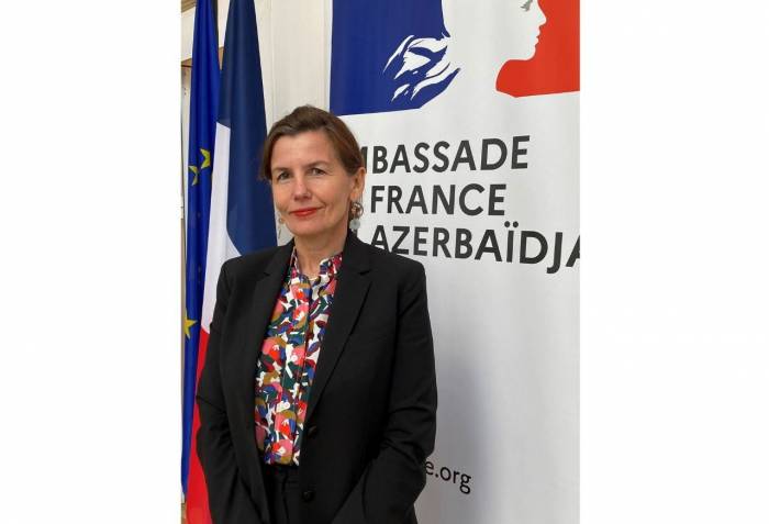 Рада наблюдать оживление парламентских связей между Францией и Азербайджаном - посол
