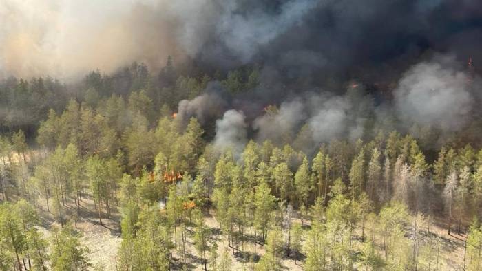 Причиной лесного пожара на востоке Казахстана мог стать поджог, -