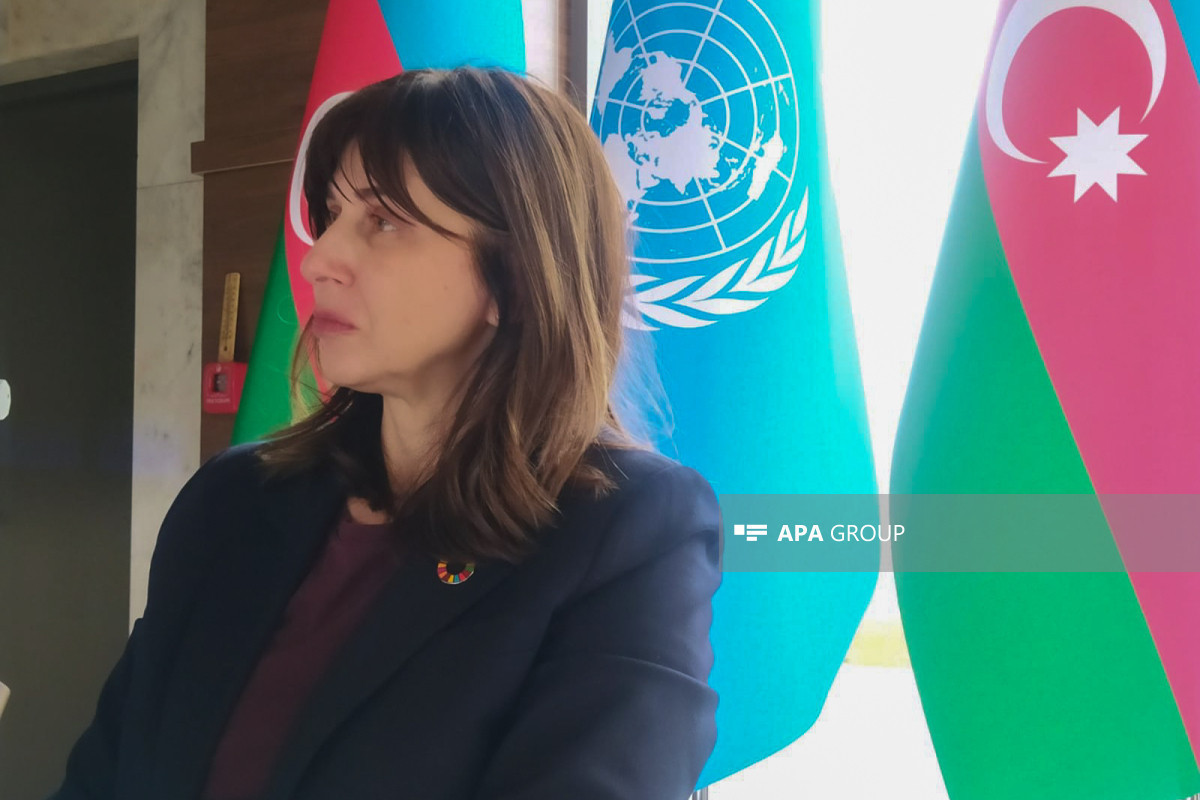 ООН: Азербайджан создал безопасные условия для более чем 1700 беженцев и лиц, просивших убежища