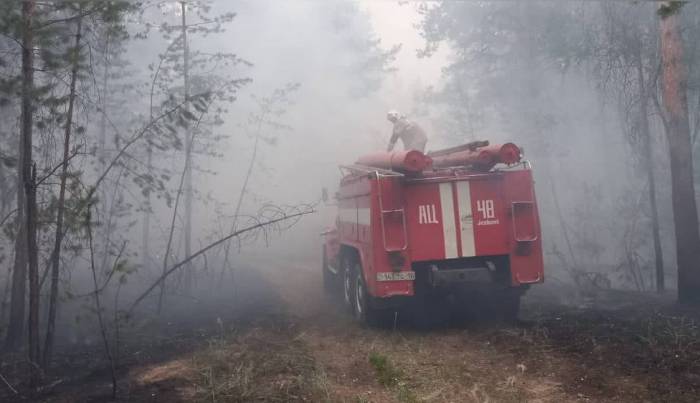 В Казахстане в результате лесного пожара погибли 14 человек
