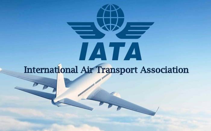 IATA: Авиакомпании мира заработают в этом году почти 10 млрд долларов
