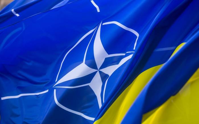 СМИ: Несколько стран НАТО экстренно согласовывают гарантии для Киева к саммиту
