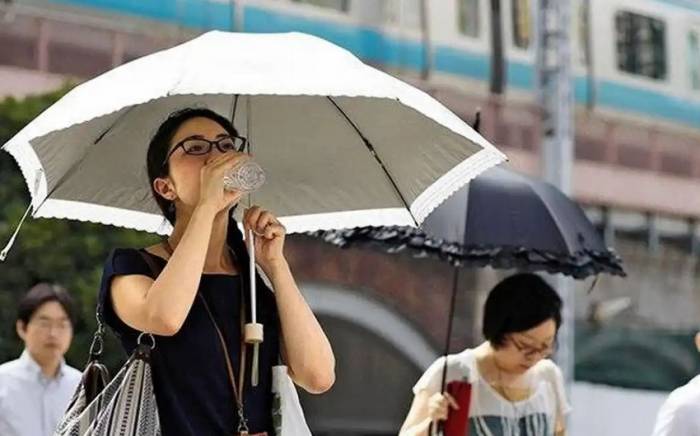 В Японии из-за жары госпитализировали почти 4 тыс. человек
