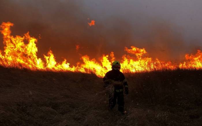 За сутки в Молдове на полях произошло 36 пожаров
