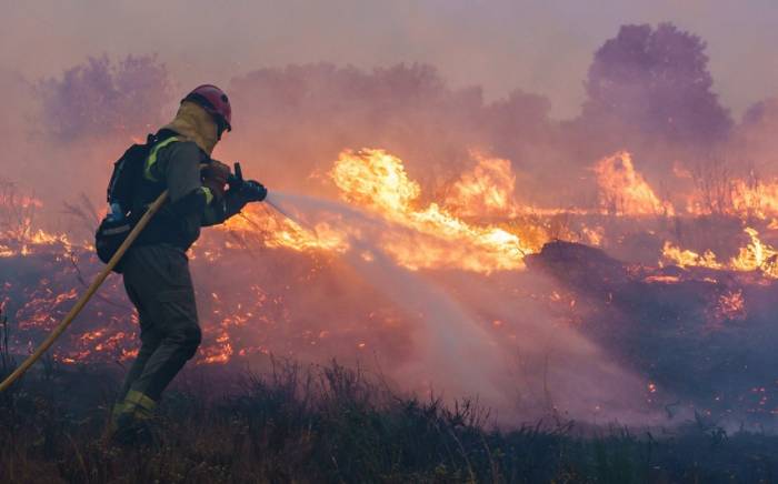 В нескольких странах Европы вспыхнули природные пожары из-за аномальной жары
