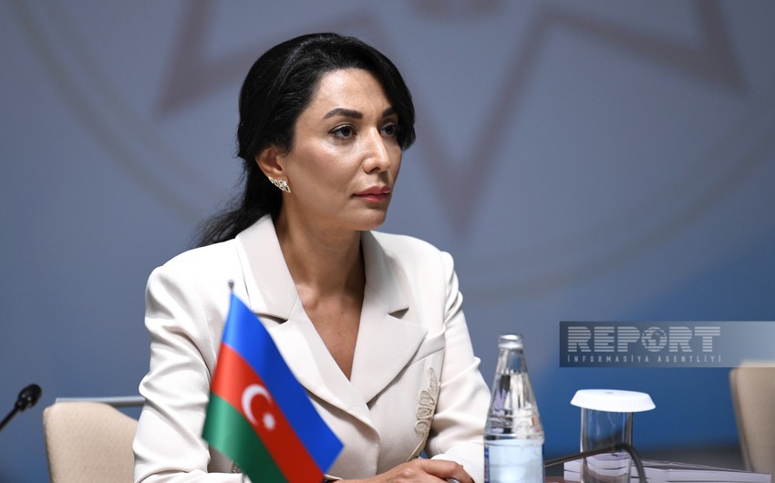 Омбудсмен обратилась к международным организациям в связи с минным террором Армении