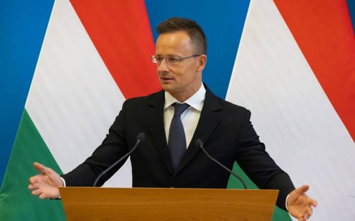 Венгрия ратифицирует заявку Швеции на членство в НАТО
