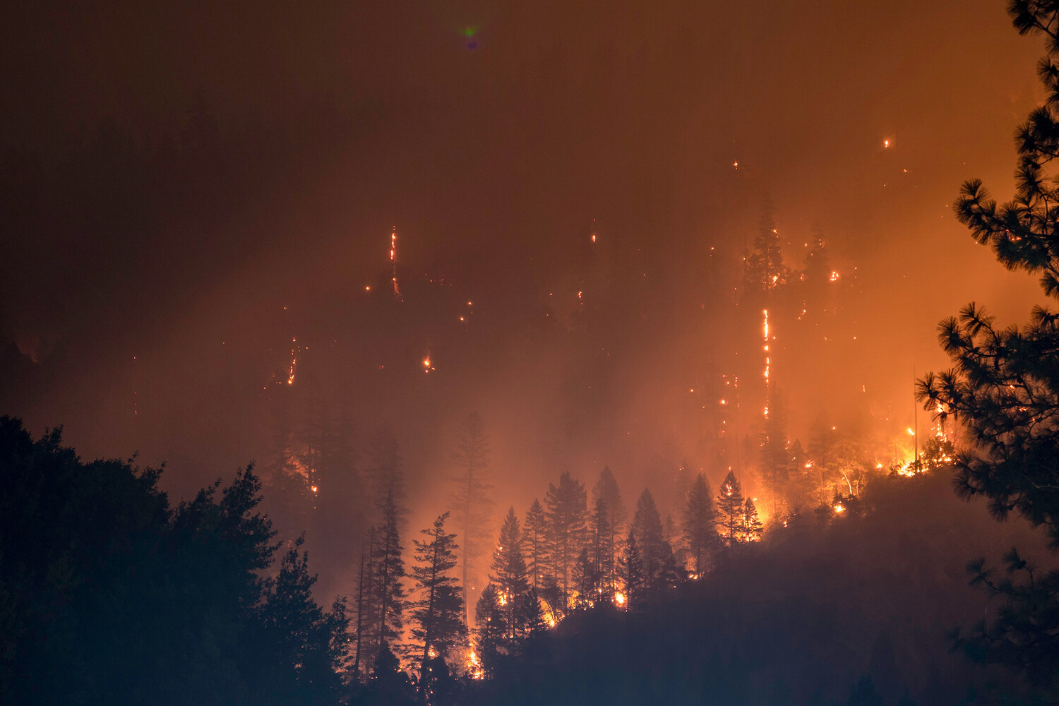 Более 730 лесных пожаров выявлено в Канаде