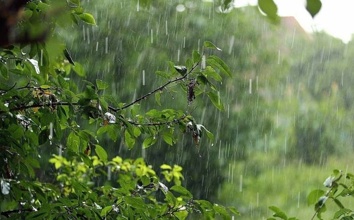 В регионах Азербайджана местами шли кратковременные дожди с грозами
